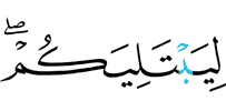 чтобы испытать вас.