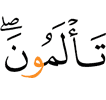 страдаете вы,