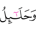 и жёны